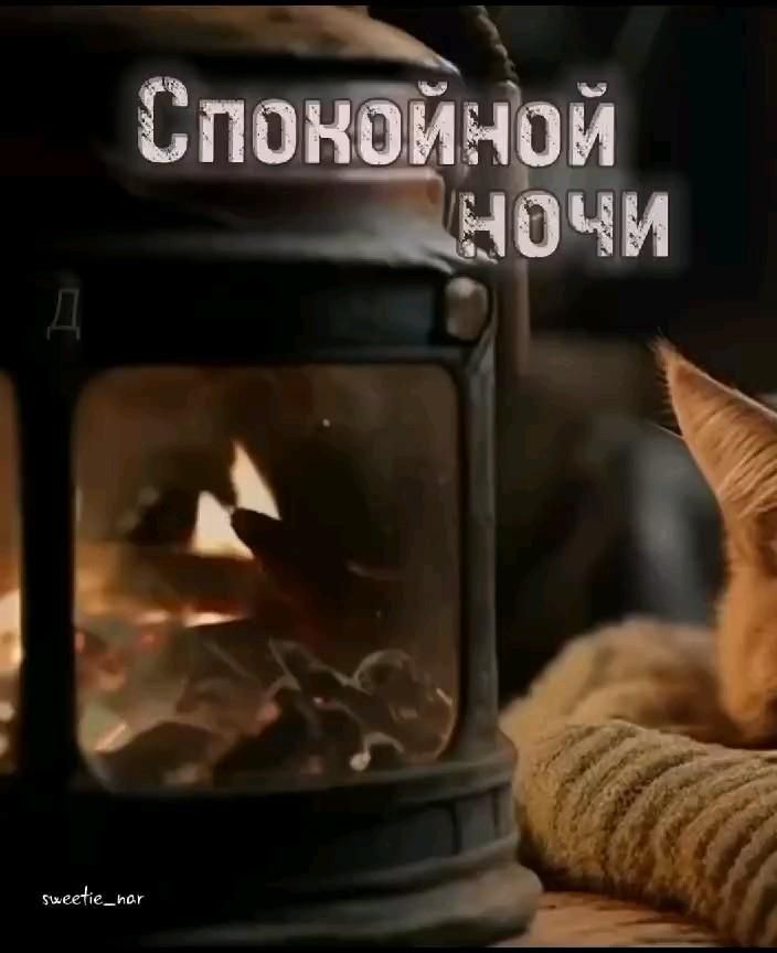 Открытка «Доброй ночи»: Спокойной ночи: уютная открытка с фонарем и котом. Тэги: Спокойной ночи, Спокойной ночи…