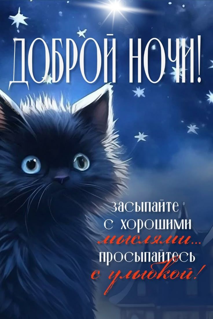Открытка «Доброй ночи»: Доброй ночи: милый пушистый кот и звездное небо. Тэги: Спокойной ночи, Спокойной ночи, с поже…