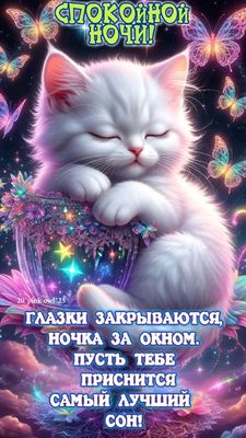 Открытка «Доброй ночи»: Спокойной ночи: милый белый котенок и волшебные бабочки. Тэги: Спокойной ночи, Спокойной ночи…