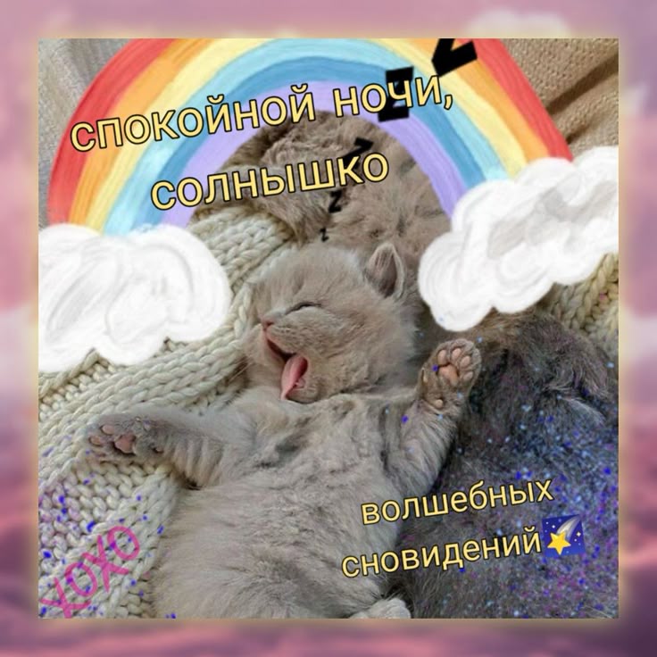 Открытка «Доброй ночи»: Спокойной ночи, солнышко: милый котенок и радуга. Тэги: Спокойной ночи, Спокойной ночи…