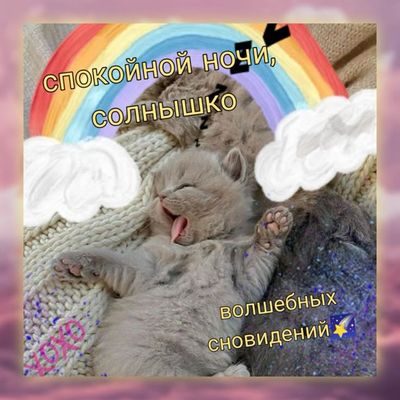 Открытка «Доброй ночи»: Спокойной ночи, солнышко: милый котенок и радуга. Тэги: Спокойной ночи, Спокойной ночи…