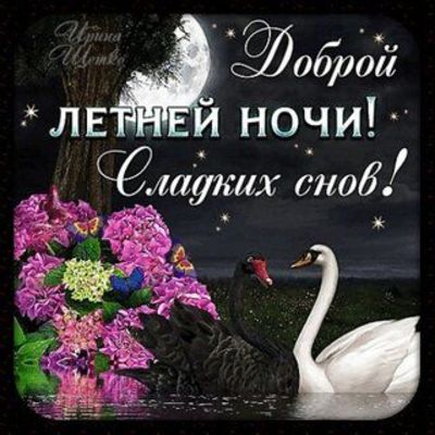 Открытка «Доброй ночи»: Доброй летней ночи: лебеди и цветы под полной луной.