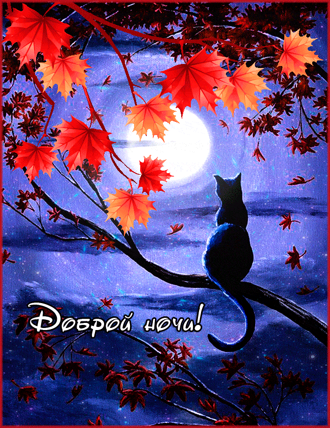 Открытка «Доброй ночи»: Доброй ночи: «Кот под луной» и кленовые листья. Тэги: Спокойной ночи, Спокойной ночи, красивые…