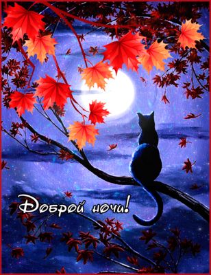 Открытка «Доброй ночи»: Доброй ночи: «Кот под луной» и кленовые листья. Тэги: Спокойной ночи, Спокойной ночи, красивые…