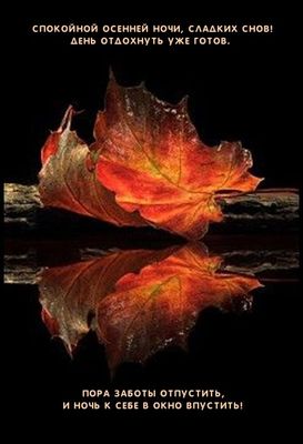 Открытка «Доброй ночи»: Спокойной ночи: красивая осенняя открытка с листом. Тэги: Спокойной ночи, Спокойной ночи…