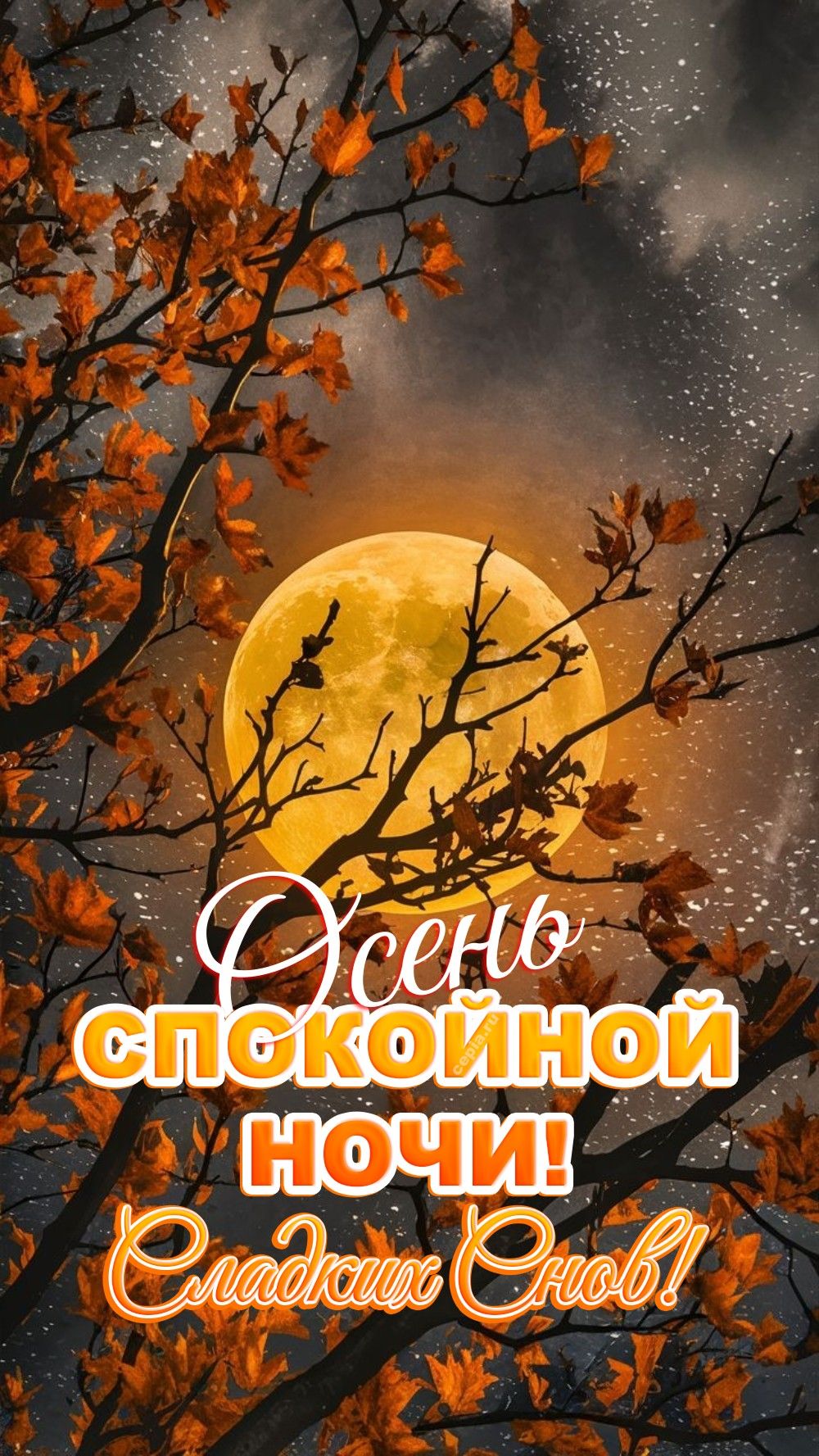 Открытка «Доброй ночи»: Осень: спокойной ночи и сладких снов. Тэги: Спокойной ночи, Спокойной ночи, красивые, Спокойн…