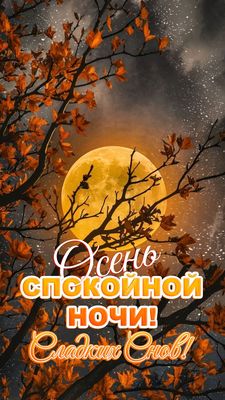 Открытка «Доброй ночи»: Осень: спокойной ночи и сладких снов. Тэги: Спокойной ночи, Спокойной ночи, красивые, Спокойн…