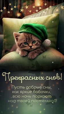 Открытка «Доброй ночи»: Спокойной ночи: милый котенок и пожелание добрых снов. Тэги: Спокойной ночи, Спокойной ночи…