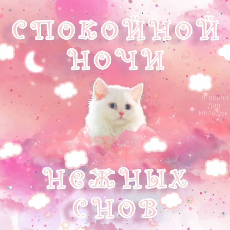 Открытка «Доброй ночи»: Спокойной ночи: милый белый кот в розовых облаках. Тэги: Спокойной ночи, Спокойной ночи…