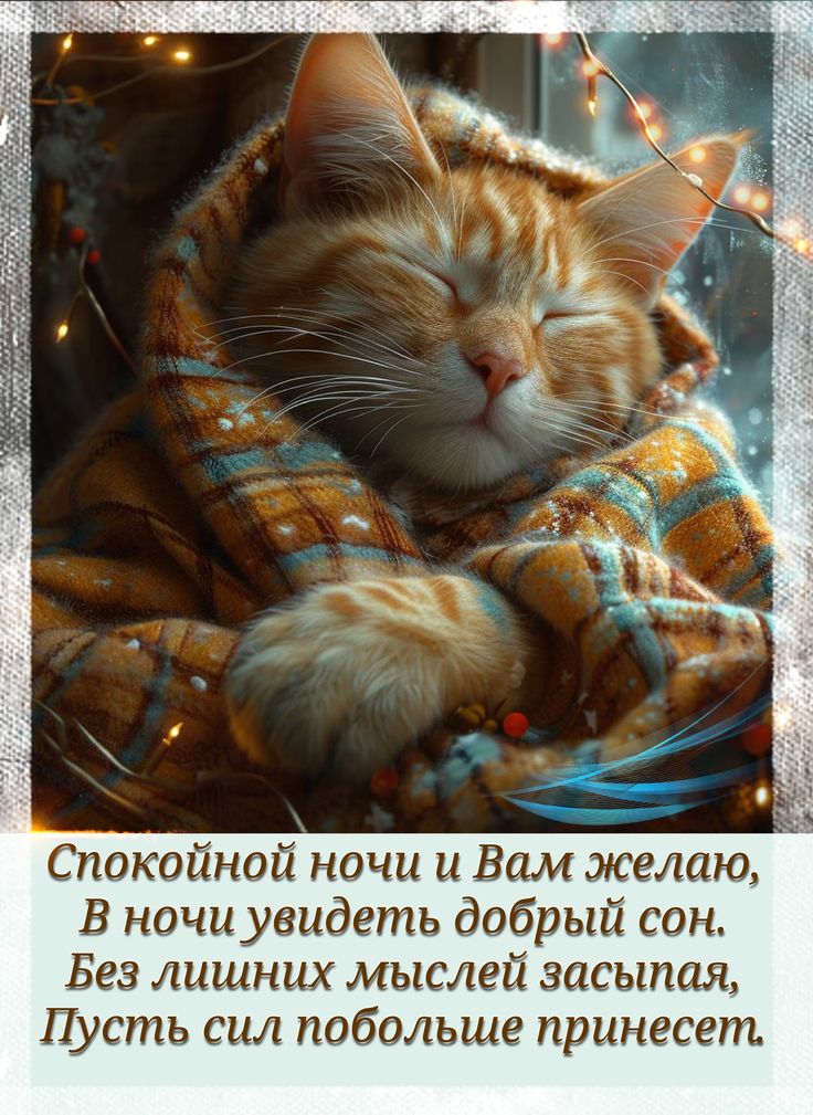 Открытка «Доброй ночи»: Спокойной ночи: Рыжий кот в пледе и доброе пожелание. Тэги: Спокойной ночи, Спокойной ночи…