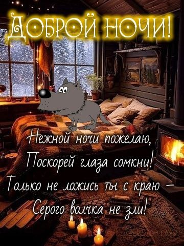 Открытка «Доброй ночи»: Доброй ночи: «Серый волчок» в уютном доме.