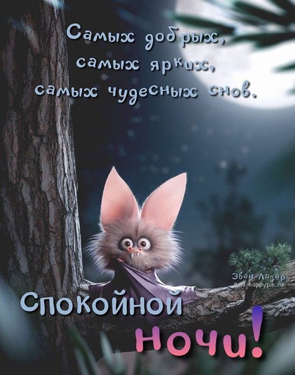 Открытка «Доброй ночи»: Доброй ночи: летучая мышь желает чудесных снов. Тэги: Спокойной ночи, Спокойной ночи, с пожел…