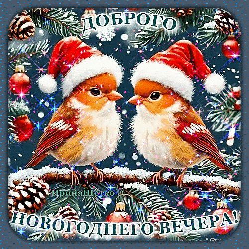Открытка «Елочный»: Добрый вечер: праздничная открытка с птичками. Тэги: Добрый вечер и пожелания, Добрый зимний вечер…