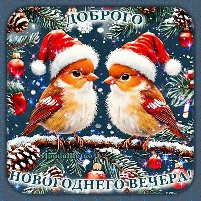 Открытка «Елочный»: Добрый вечер: праздничная открытка с птичками. Тэги: Добрый вечер и пожелания, Добрый зимний вечер…