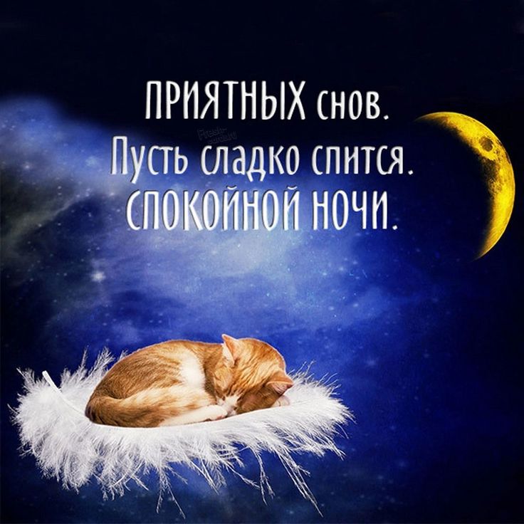 Открытка «Доброй ночи»: Доброй ночи: милый рыжий кот на перышке. Тэги: Спокойной ночи, Спокойной ночи, с пожеланиями…