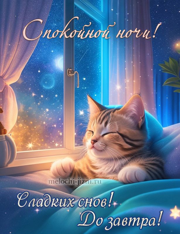 Открытка «Доброй ночи»: Спокойной ночи: милый кот и звездное небо. Тэги: Спокойной ночи, Спокойной ночи, с пожеланиями…