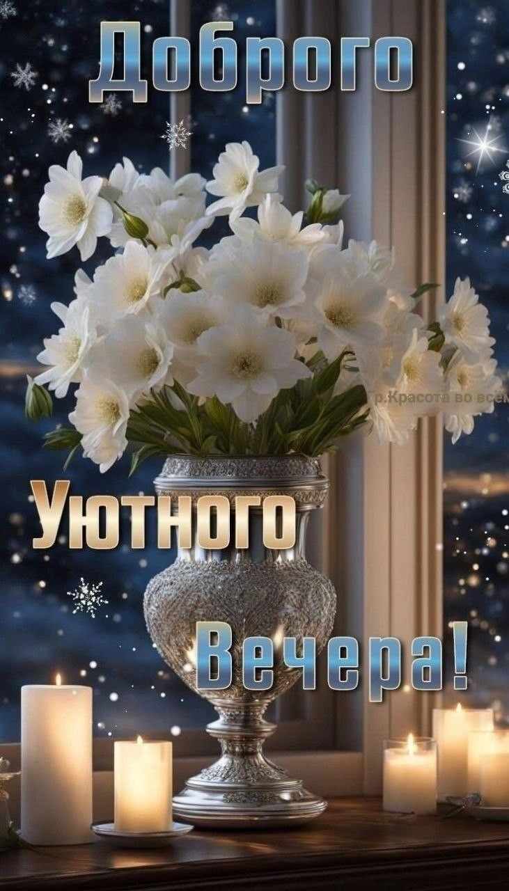 Открытка «Добрый вечер и пожелания»: Добрый вечер: «Уютное пожелание с белыми цветами». Тэги: Добрый зимний вечер…