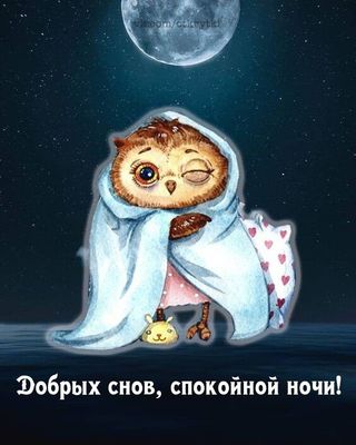 Открытка «Доброй ночи»: Доброй ночи: Милая сова и пожелание добрых снов. Тэги: Спокойной ночи, Спокойной ночи, с поже…