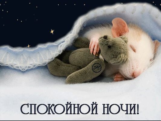 Открытка «Доброй ночи»: Спокойной ночи: милый мышонок под одеялом. Тэги: Спокойной ночи, Спокойной ночи, с пожеланиями…