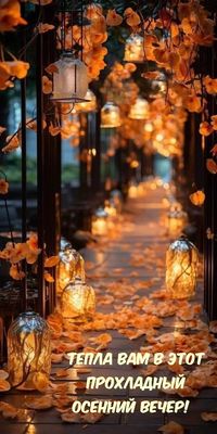 Открытка «Добрый вечер и пожелания»: Добрый вечер: Тепла в этот прохладный осенний вечер!. Тэги: Доброго, прекрасного…