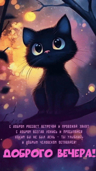 Открытка «Добрый вечер и пожелания»: Добрый вечер: милый черный кот на ветке. Тэги: Доброго вечера и хорошего настрое…