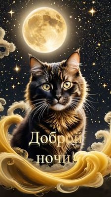 Открытка «Доброй ночи»: Доброй ночи: «Волшебный кот под полной луной». Тэги: Спокойной ночи, Спокойной ночи, красивые…