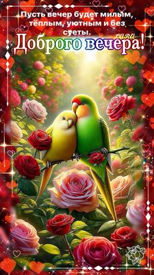 Открытка «Добрый вечер и пожелания»: Добрый вечер! Открытка с неразлучниками в розах. Тэги: Доброго вечера и хорошего…