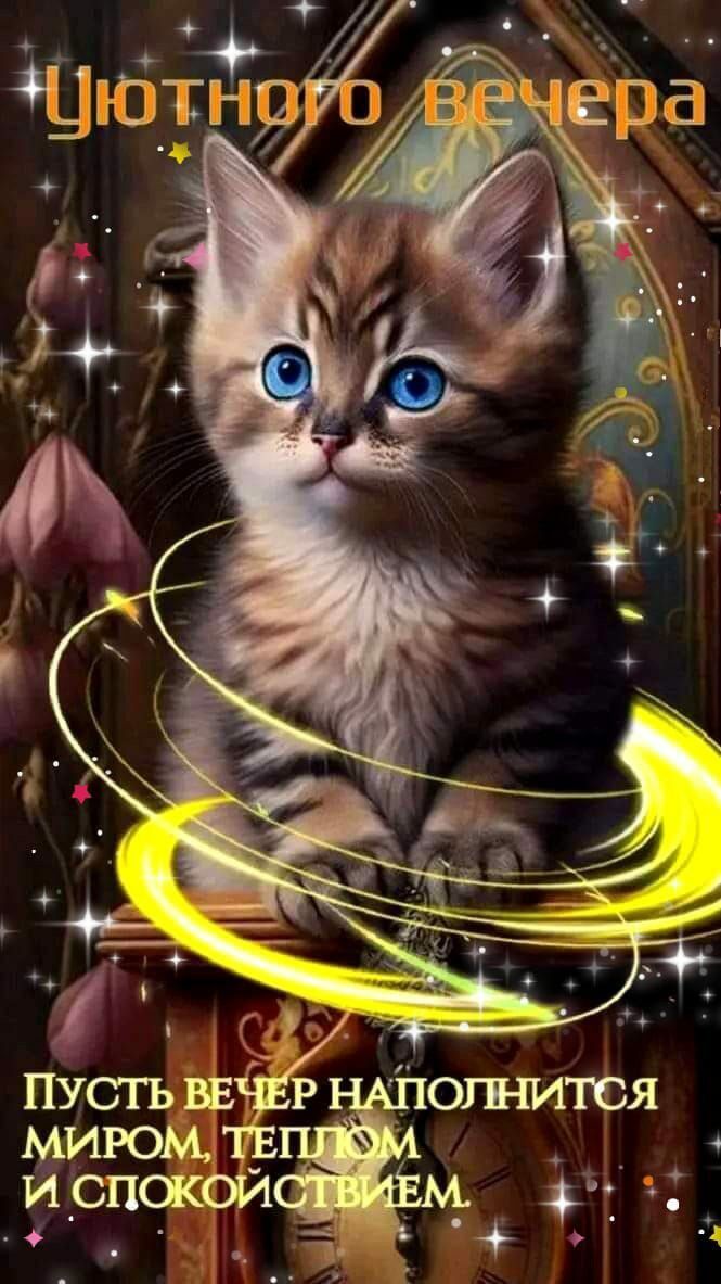 Открытка «Добрый вечер и пожелания»: Добрый вечер: Уютного вечера с милым котенком. Тэги: Доброго вечера и хорошего н…