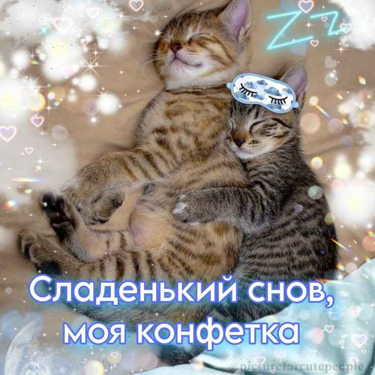 Открытка «Доброй ночи»: Открытка доброй ночи со сладко спящими котятами. Тэги: Спокойной ночи, любимая женщина…