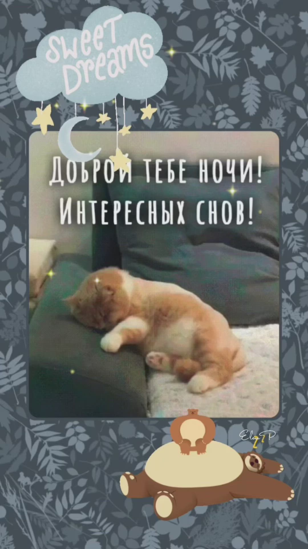 Открытка «Доброй ночи»: Доброй ночи: милый котик и пожелание интересных снов. Тэги: Спокойной ночи, интересный, долгий…