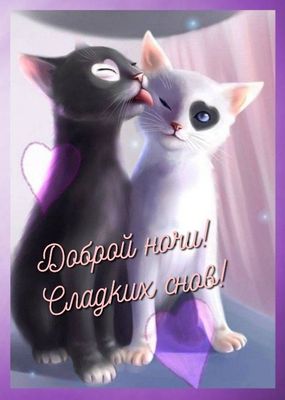 Открытка «Доброй ночи»: Доброй ночи! Сладких снов и нежных котиков. Тэги: Спокойной ночи, Спокойной ночи, с пожелания…