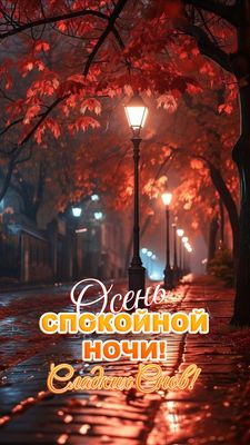 Открытка «Доброй ночи»: Доброй ночи: «Осенний парк и яркие фонари». Тэги: Спокойной ночи, Спокойной ночи, красивые…