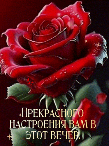 Открытка «Хорошего настроения»: Добрый вечер: красная, мерцающая роза и пожелание настроения. Тэги: пожелание, надпись…