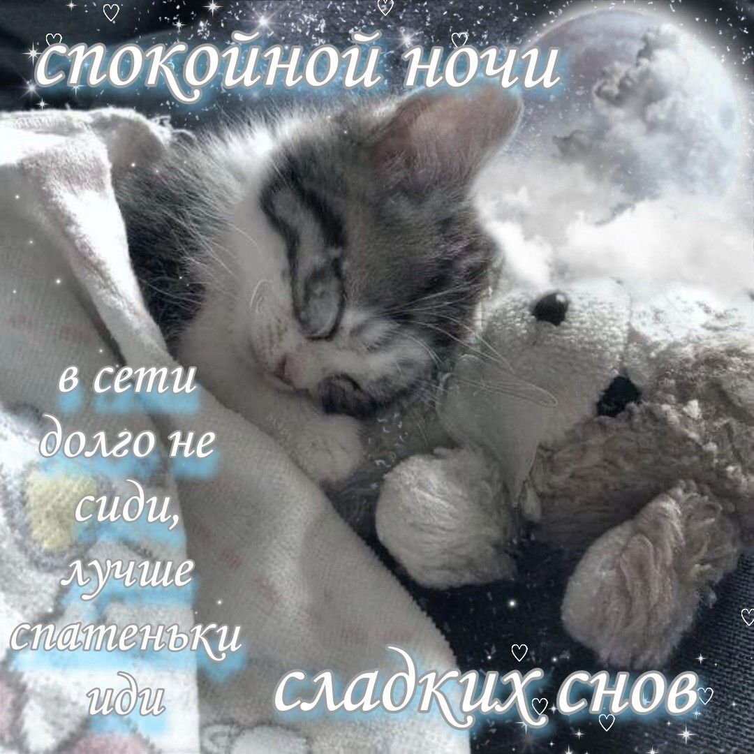 Открытка «Доброй ночи»: Спокойной ночи: «Сонный котик» с мягкой игрушкой. Тэги: Спокойной ночи, Спокойной ночи…