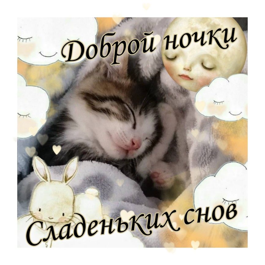 Открытка «Доброй ночи»: Спокойной ночи: Кот и сладкие сны. Тэги: Спокойной ночи, Спокойной ночи, с пожеланиями…