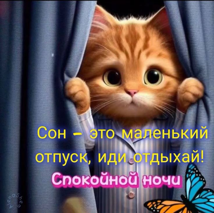 Открытка «Доброй ночи»: Спокойной ночи: рыжий котик в пижаме желает сладких снов. Тэги: Спокойной ночи, Спокойной ночи…
