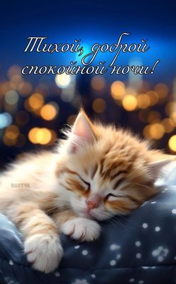 Открытка «Доброй ночи»: Спокойной ночи: «Милый рыжий котенок» на подушке. Тэги: Спокойной ночи, Спокойной ночи…