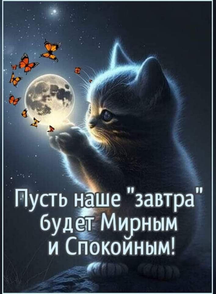 Открытка «Доброй ночи»: Спокойной ночи: мирное пожелание с милым котиком. Тэги: Спокойной ночи, мирный, Спокойной ночи…