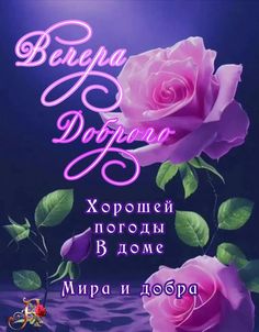 Открытка «Добрый вечер и пожелания»: Добрый вечер и розовые розы: красивое пожелание добра. Тэги: Добрый вечер женщине…