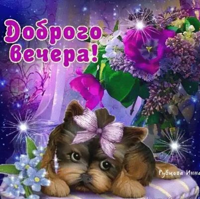 Открытка «Добрый вечер и пожелания»: Добрый вечер: милый йорк и букет сирени. Тэги: Доброго вечера и хорошего настрое…