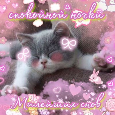 Открытка «Доброй ночи»: Спокойной ночи: милый котик и потягушки для нежных снов. Тэги: Спокойной ночи, Спокойной ночи…