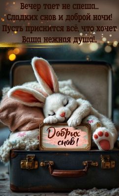Открытка «Доброй ночи»: Спокойной и доброй ночи: милый заяц в чемодане. Тэги: Спокойной ночи, Спокойной ночи, красивые…
