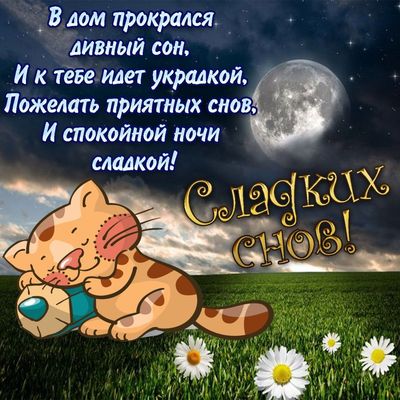 Открытка «Доброй ночи»: Спокойной ночи: открытка с милым котом и луной. Тэги: Спокойной ночи, Спокойной ночи, с пожел…