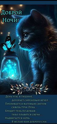 Открытка «Доброй ночи»: Открытка Доброй ночи с милым котенком и бабочкой. Тэги: Спокойной ночи, Спокойной ночи…