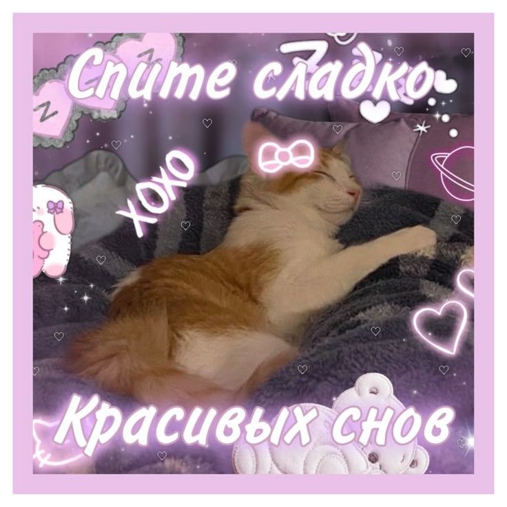 Открытка «Доброй ночи»: Спокойной ночи: «Спящий котик» и красивые сны. Тэги: Спокойной ночи, Спокойной ночи, с пожела…