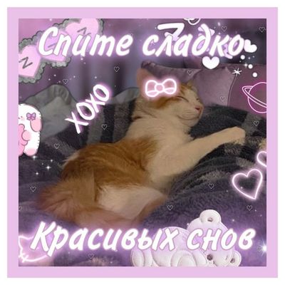 Открытка «Доброй ночи»: Спокойной ночи: «Спящий котик» и красивые сны. Тэги: Спокойной ночи, Спокойной ночи, с пожела…