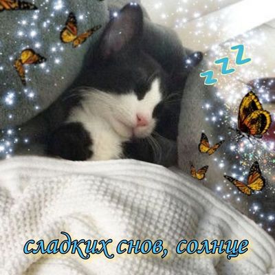 Открытка «Доброй ночи»: Спокойной ночи: Сладких снов, солнце!. Тэги: Спокойной ночи, Спокойной ночи, с пожеланиями…