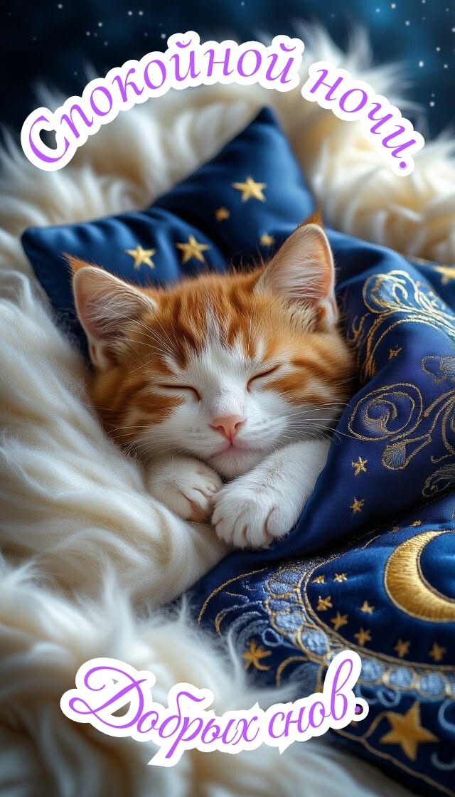 Открытка «Доброй ночи»: Спокойной ночи: милый рыжий котенок под одеялком. Тэги: Спокойной ночи, пожелание, забавный…