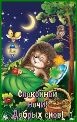 Открытка «Доброй ночи»: Спокойной ночи: открытка с милым ежиком и совой. Тэги: Спокойной ночи, Спокойной ночи, с поже…