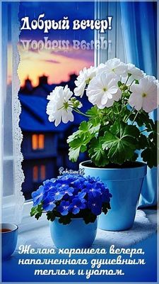 Открытка «Добрый вечер и пожелания»: Добрый вечер: «Желаю душевного тепла и уюта». Тэги: Добрый вечер, с цветами…